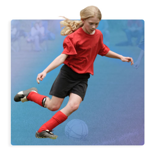 Concussion Protocol Sportsengine